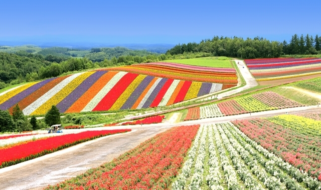 Furano
